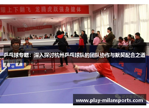 乒乓球专题：深入探讨杭州乒乓球队的团队协作与默契配合之道
