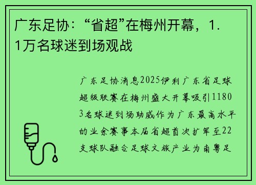 广东足协：“省超”在梅州开幕，1.1万名球迷到场观战